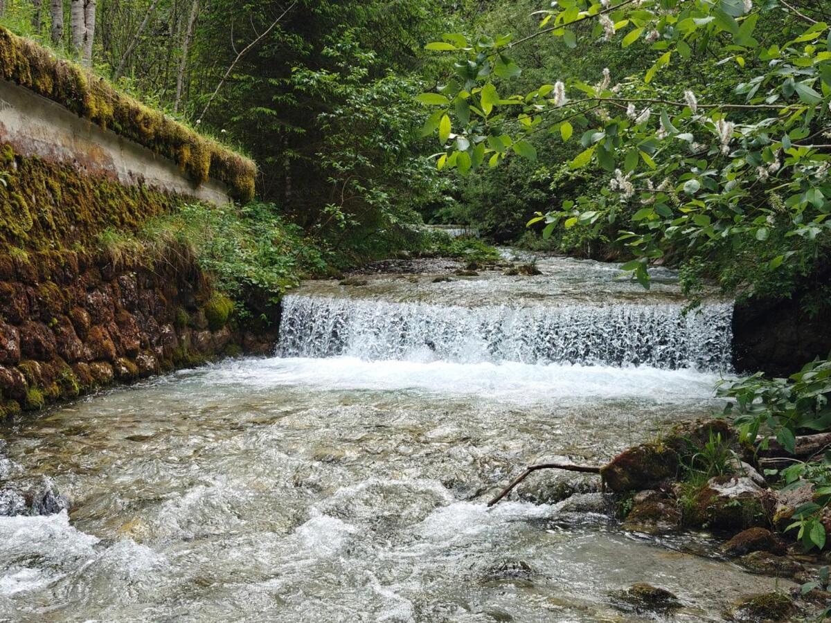 Вилла Idyllic Mountain Huette -Gesaeuse Nationalpark Landl  Экстерьер фото