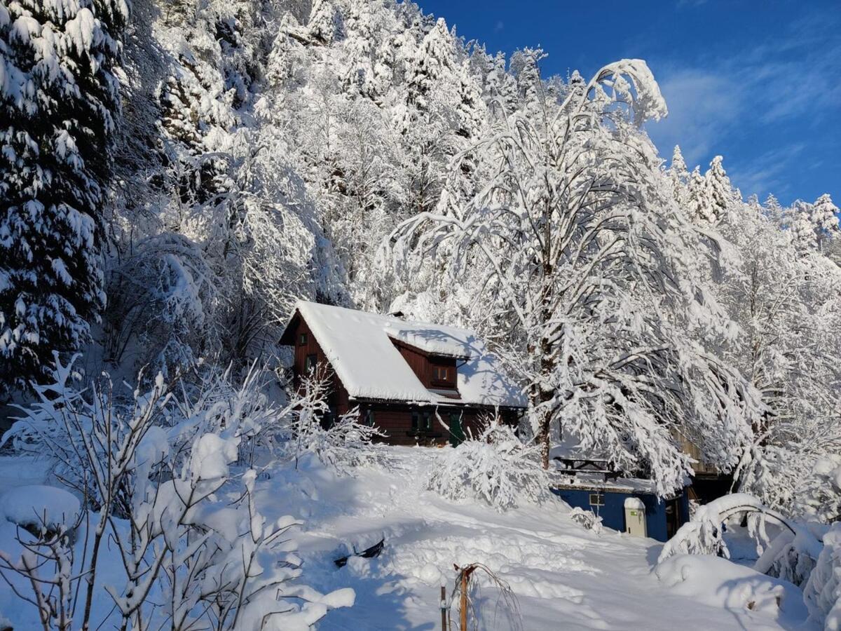 Вилла Idyllic Mountain Huette -Gesaeuse Nationalpark Landl  Экстерьер фото