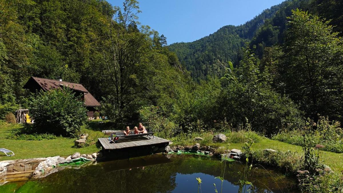 Вилла Idyllic Mountain Huette -Gesaeuse Nationalpark Landl  Экстерьер фото